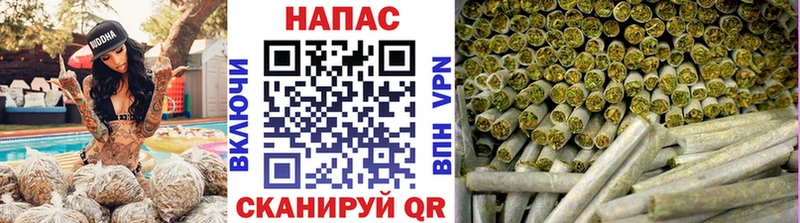 Бошки марихуана конопля Давлеканово
